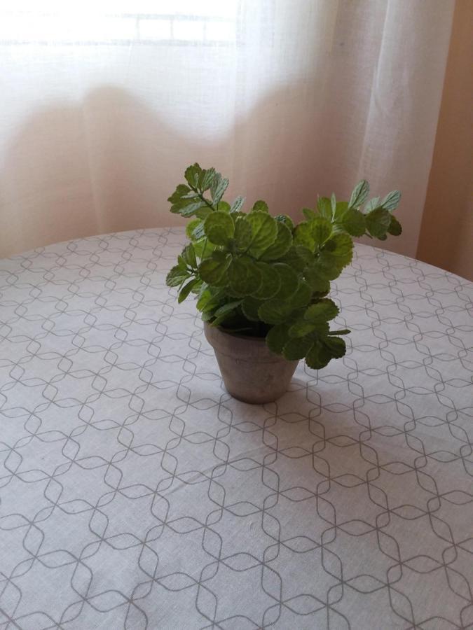 Carlo Hospedaje Alicante Kültér fotó